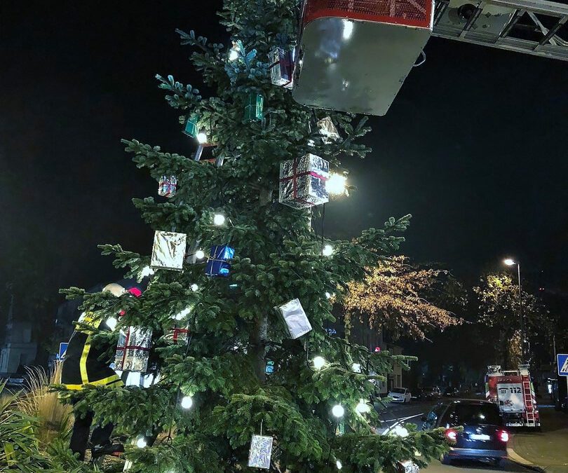 Zweckel sucht eine Tanne für den Weihnachtsbaum 2021 im Kreisverkehr